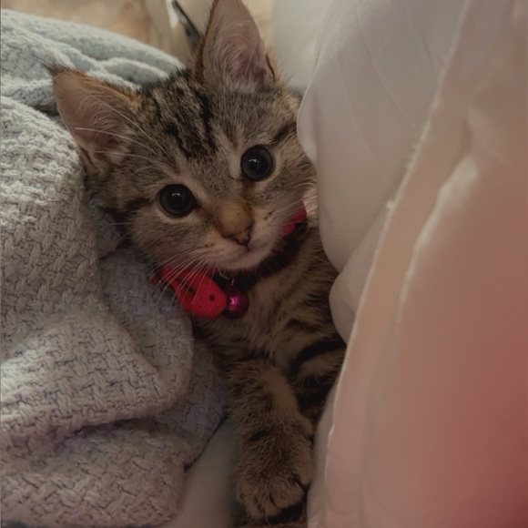 💎Meet your Posher, Nicki from MainEsHoliEsquisiteS @the 🔆Happy〽️Treasures🔆 Store - Picture 13 of 15